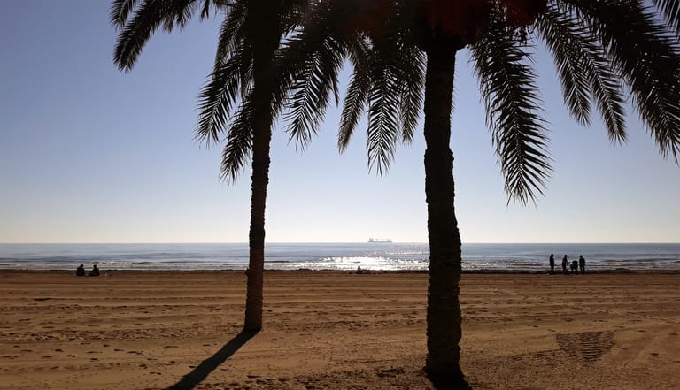 Palm trees along Playa del Postiguet in Alicante, the city rising behind the seafront on a clear day.