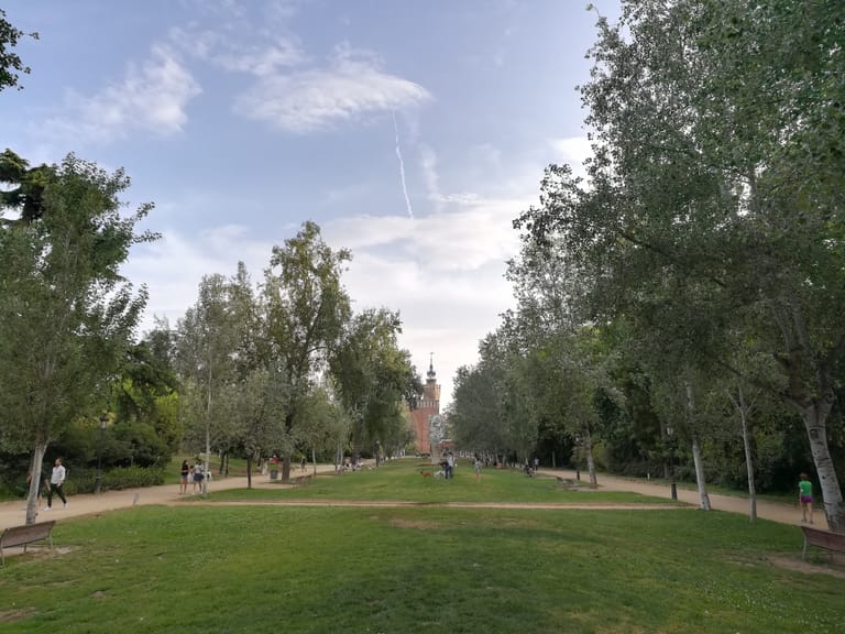 A wide green lawn edged by gravel paths in Parc de la Ciutadella, with people strolling and sitting on the grass beneath tall poplars.