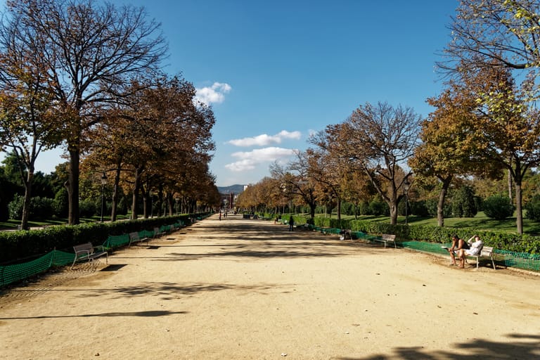 An avenue of trees in autumn colour along a broad sandy promenade in Parc de la Ciutadella, benches set along both sides under a deep blue sky.
