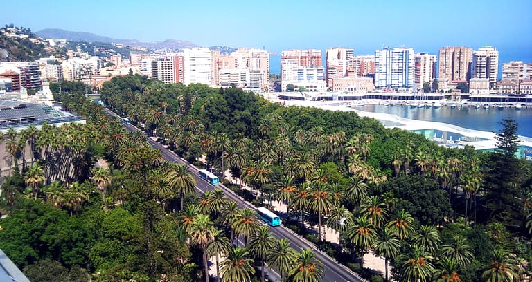 Málaga's Paseo del Parque from above: a long band of subtropical palms with city buses running the avenue beside it, the port and apartment blocks behind.